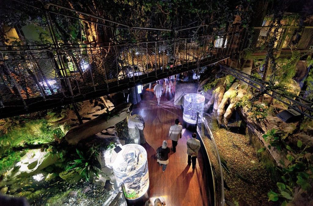 Comprehensive Artificial Theme Park Design | Dubai Aquarium – Dubai Mall