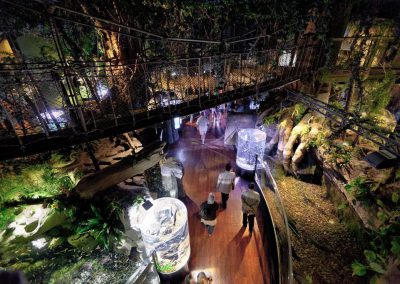 Comprehensive Artificial Theme Park Design | Dubai Aquarium – Dubai Mall
