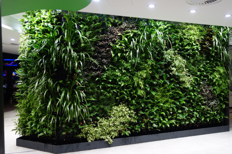 Green Plant Wall For Modern Homes And Offices In Dubai Uae Design - Artificial Plant Wall Decor Ideas