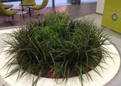 Hydroculture Plants, Masdar city