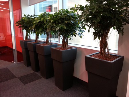 interior-designer-32 hydroculture pots