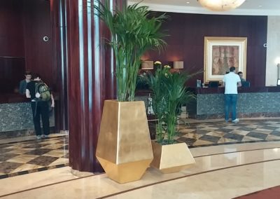 Effective Refurbishment Is Combining The Existing Concept With New Customized Plant Systems | Beach Rotana Lobby – Abu Dhabi