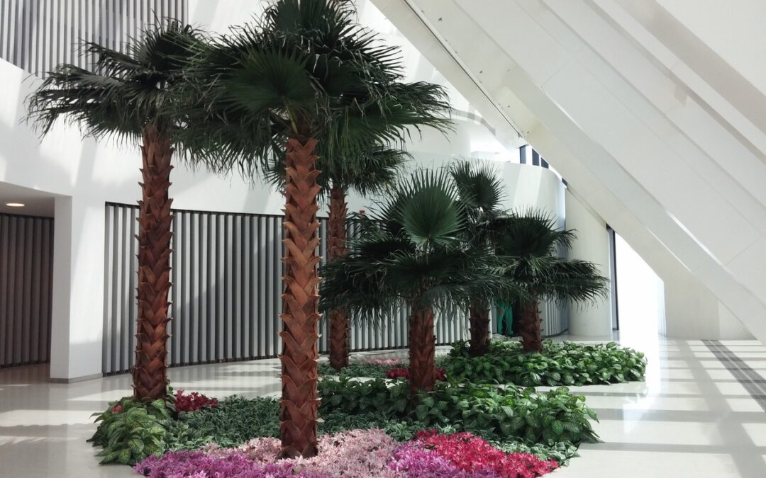 Preserved Washingtonia Palms Creating A Relaxed Space I World Trade Center Abu Dhabi – Residential Tower