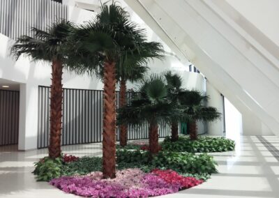 Preserved Washingtonia Palms Creating A Relaxed Space I World Trade Center Abu Dhabi – Residential Tower