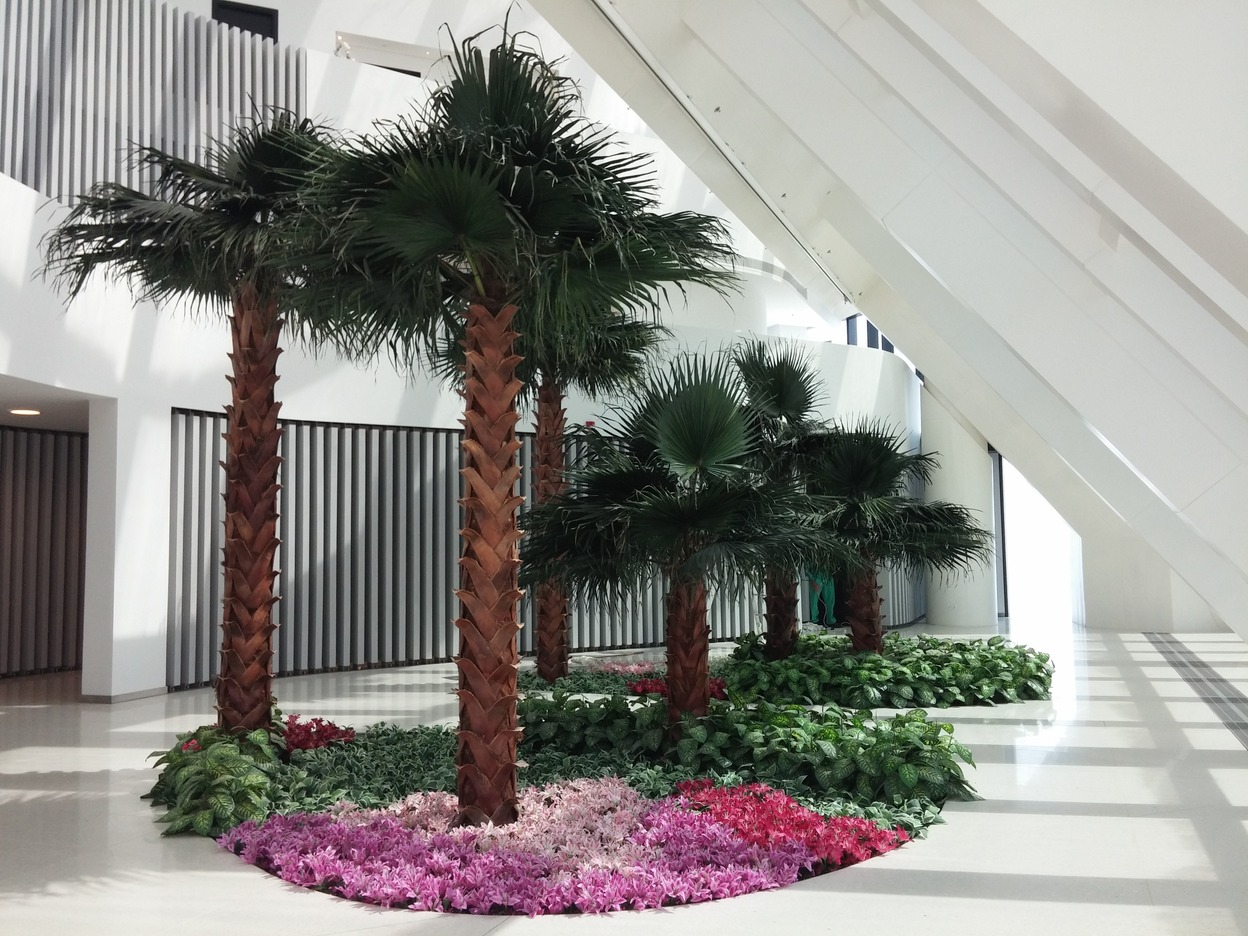interior-designer-32 preserved palm trees World Trade Center Abu Dhabi - Residential Tower