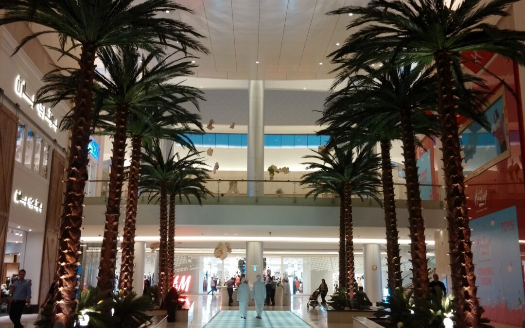 Impressive Preserved Date Palms As A Welcome | Yas Mall