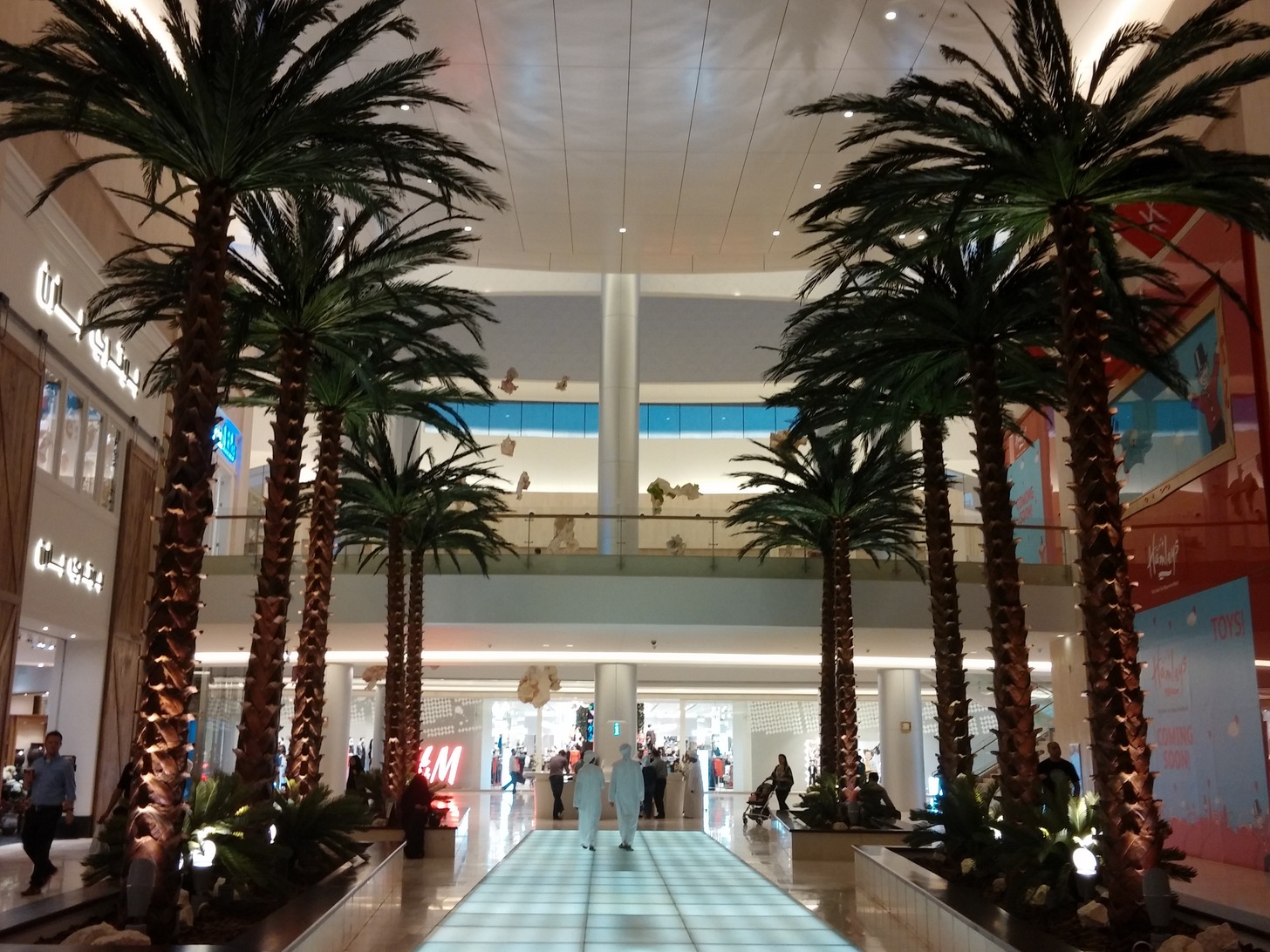 interior-designer-32 preserved palms yas Mall Abu Dhabi