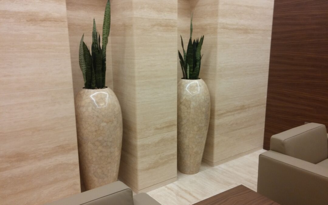 Exclusive Pots And Refreshing Hydroculture Plant List For Offices | Burj Al Salam Tower – Head Office
