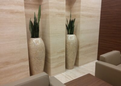 Exclusive Pots And Refreshing Hydroculture Plant List For Offices | Burj Al Salam Tower – Head Office