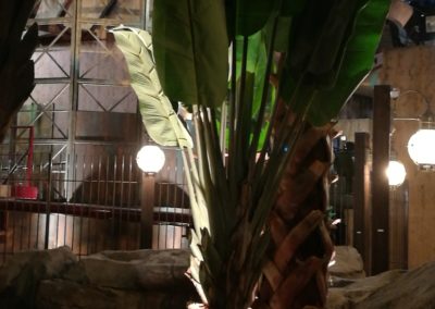 IMG-Marvel-Theme-Park-Artificial-Plants-Bird-of-Paradise-Dubai