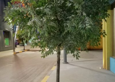 IMG-Marvel-Theme-Park-Artificial-Plants-Ficus Tree-Dubai