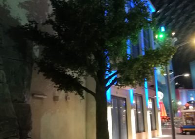 IMG-Marvel-Theme-Park-Artificial-Plants-Ficus-Tree-8-m-Dubai