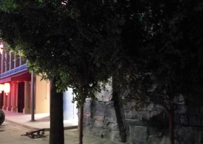 IMG-Marvel-Theme-Park-Artificial-Plants-Ficus-Tree-Dubai