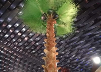 IMG-Marvel-Theme-Park-Artificial-Plants-Washingtonia-Palm-Dubai