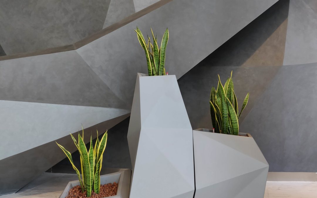 Exclusive Designer Pots with Hydroculture Plants | Al Mas Tower