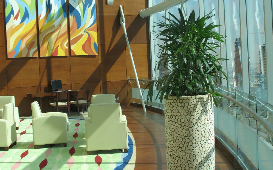 Unique Plant Pots And Hydroculture Arrangements To Complement Any Hotel Design | JA Oasis Beach Tower