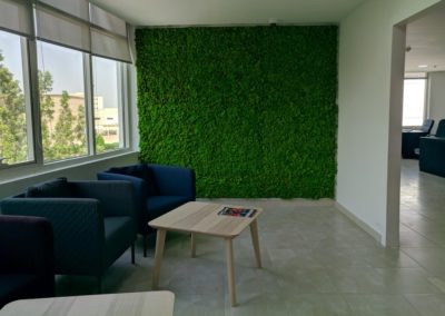 Effective Preserved Moss Wall At The Office Reception | Pulsar Foodstuff LLC