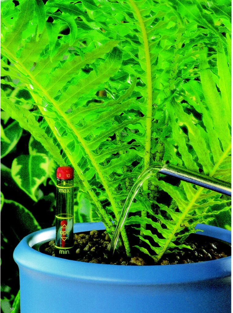 Hydroculture Plants water indicator