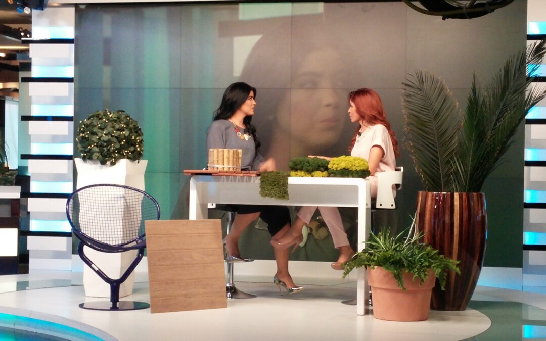 Artificial Plants Indoor | Plants Design  (The Plant Company) @ MBC  Morning Show