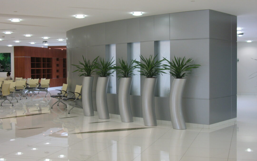 Elegant Plant Pots & Soil-Free Hydroculture Plants | Rashid Hospital –  Emergency Unit