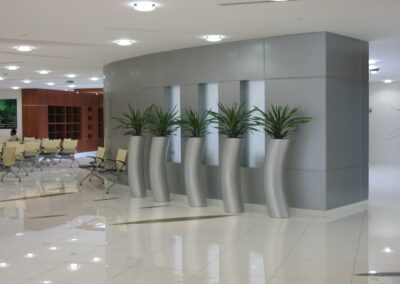 Elegant Plant Pots & Soil-Free Hydroculture Plants | Rashid Hospital –  Emergency Unit