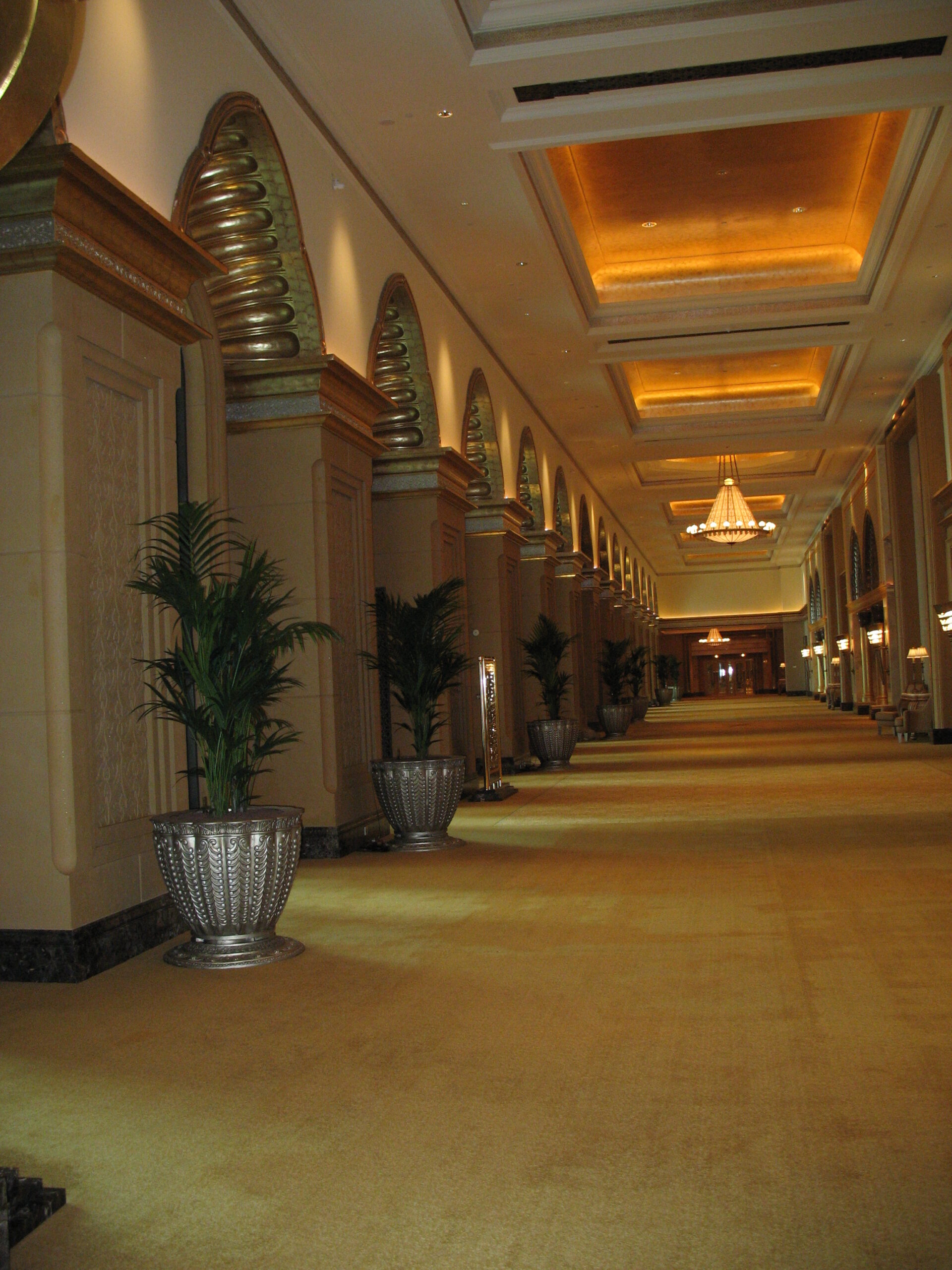 interior-designer-32 hydroculture indoor plants