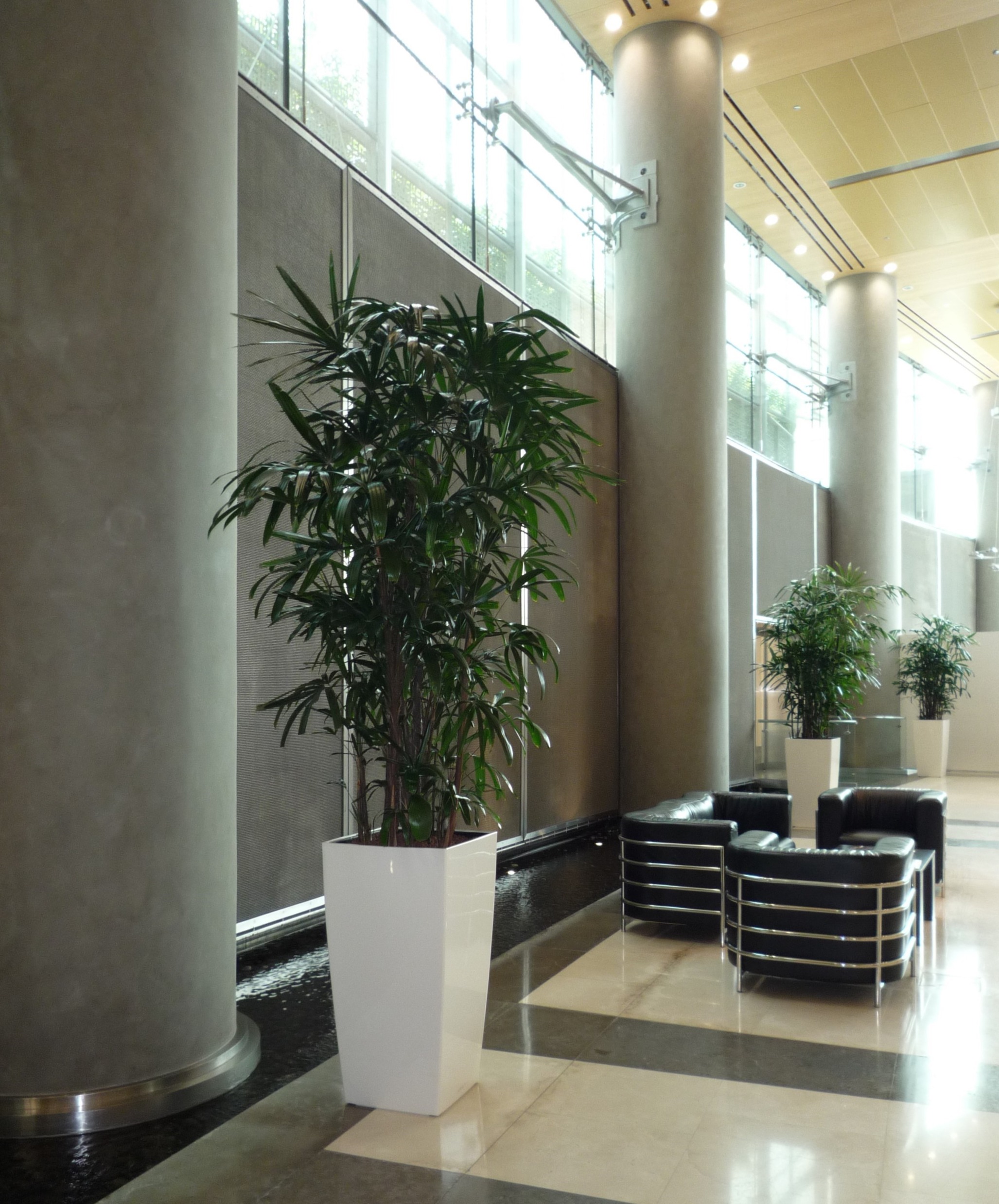 interior-designer-32 Hydroculture Plants, Plant Pots, Exclusive Plant Pots, Burjuman Business Tower