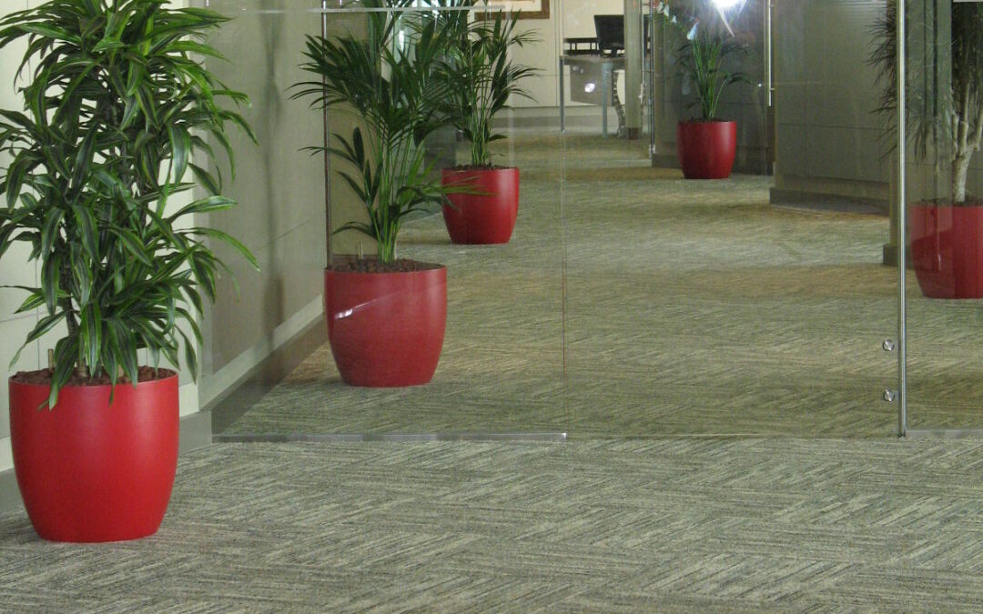 Enhancing Office Spaces With Striking Rotational Plant Pots Arrangements | NBD Bank