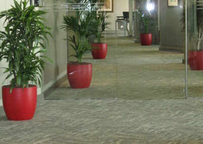 Enhancing Office Spaces With Striking Rotational Plant Pots Arrangements | NBD Bank