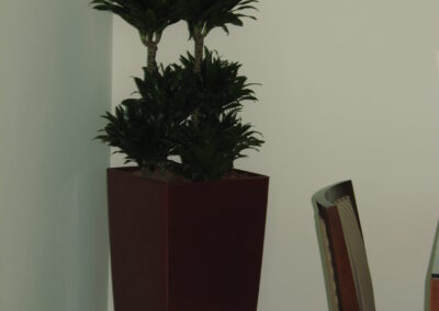 IMG 0002