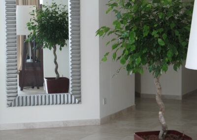 IMG 0736 1