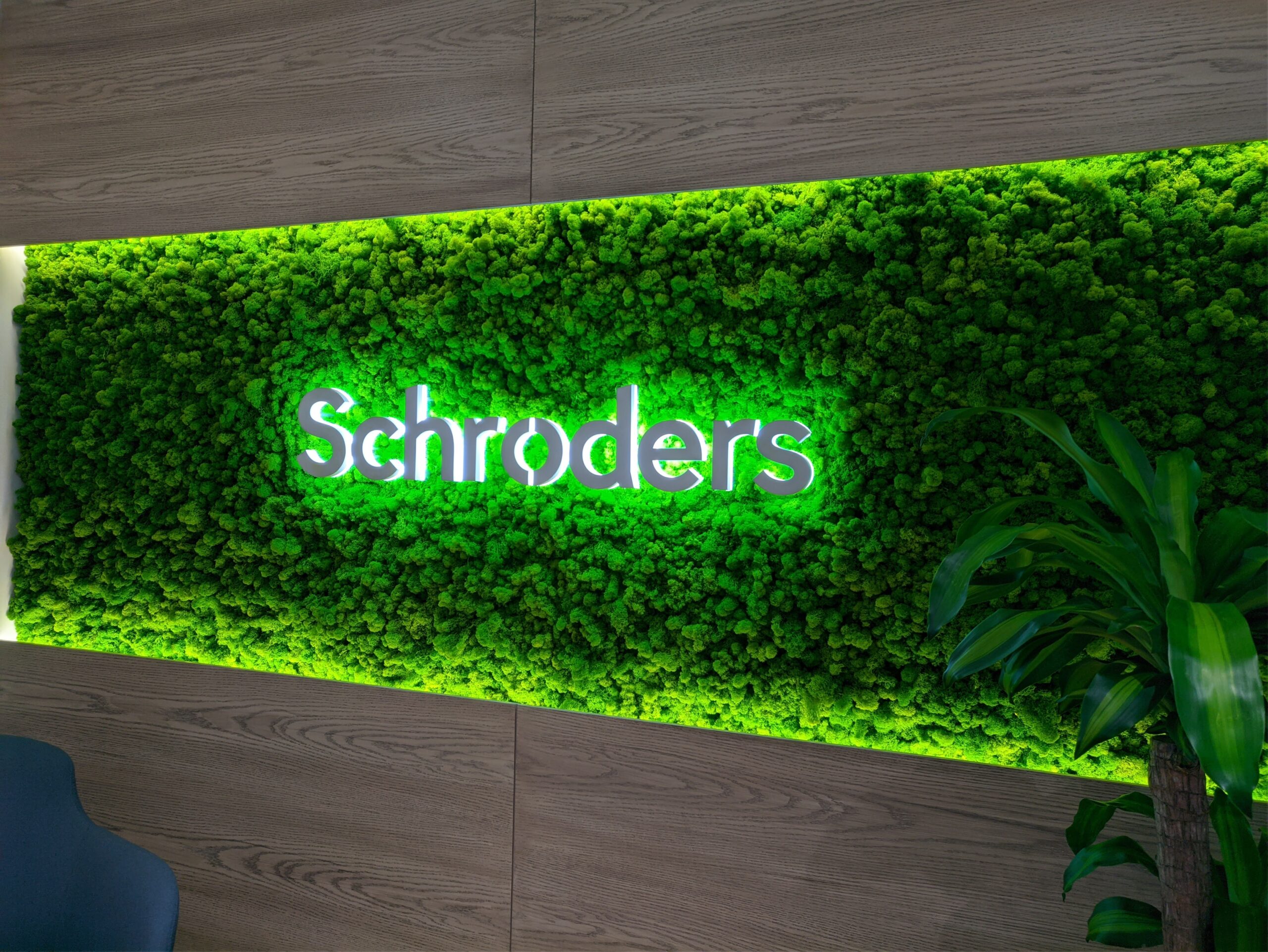 interior-designer-32 artificial plant wall