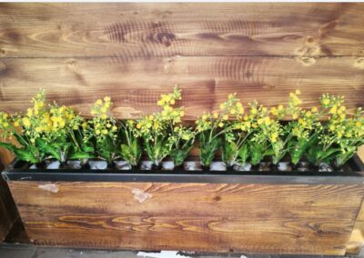 Steigenberger Business Bay The backyard Artificial Plants