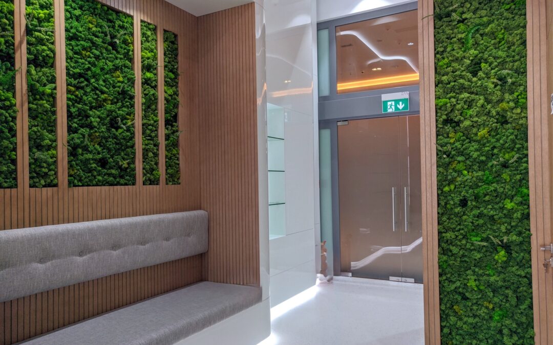 Combine Your Preserved Moss Tapestry With Artificial Bonsai Tree | DNA Clinics DIFC