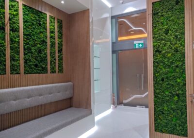 Combine Your Preserved Moss Tapestry With Artificial Bonsai Tree | DNA Clinics DIFC
