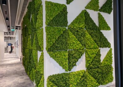 Positive Effect Of Organic Biophilic Plant Designs For Your Office | Natixis