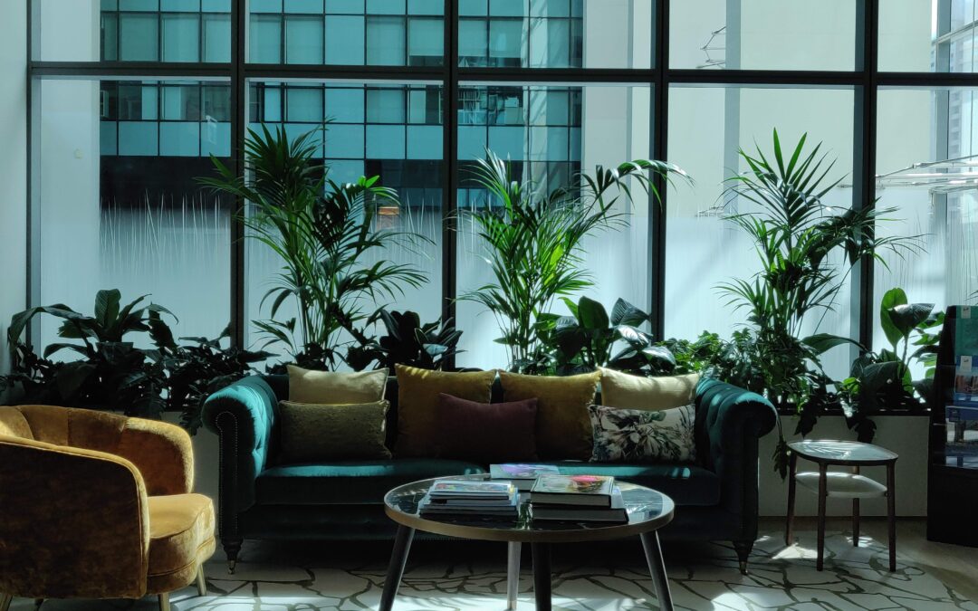 Your Environmental Friendly Amazon-esque Plant Design For Offices | Legatum Limited