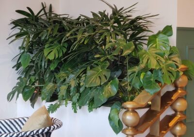 Legatumn Hydroculture Plants 9