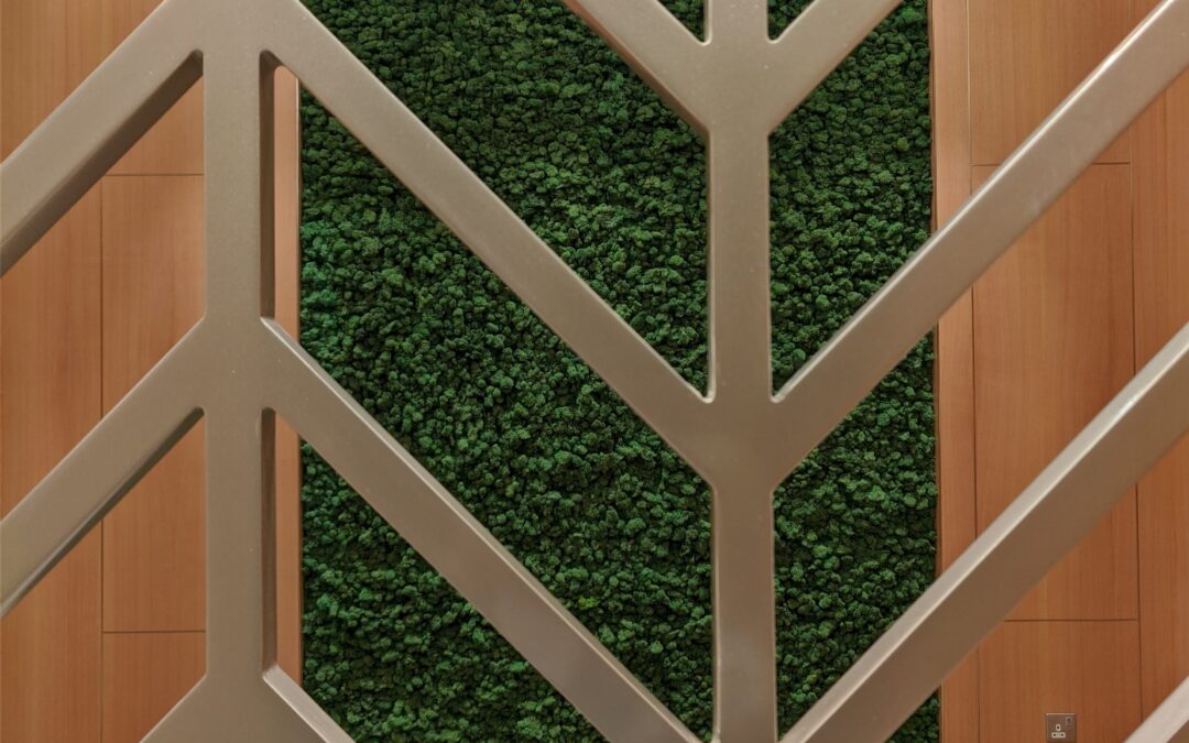 The Lush Green Effect in Preserved Moss Art | Sharjah International Airport