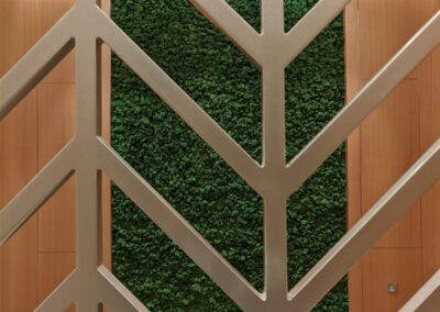 The Lush Green Effect in Preserved Moss Art | Sharjah International Airport