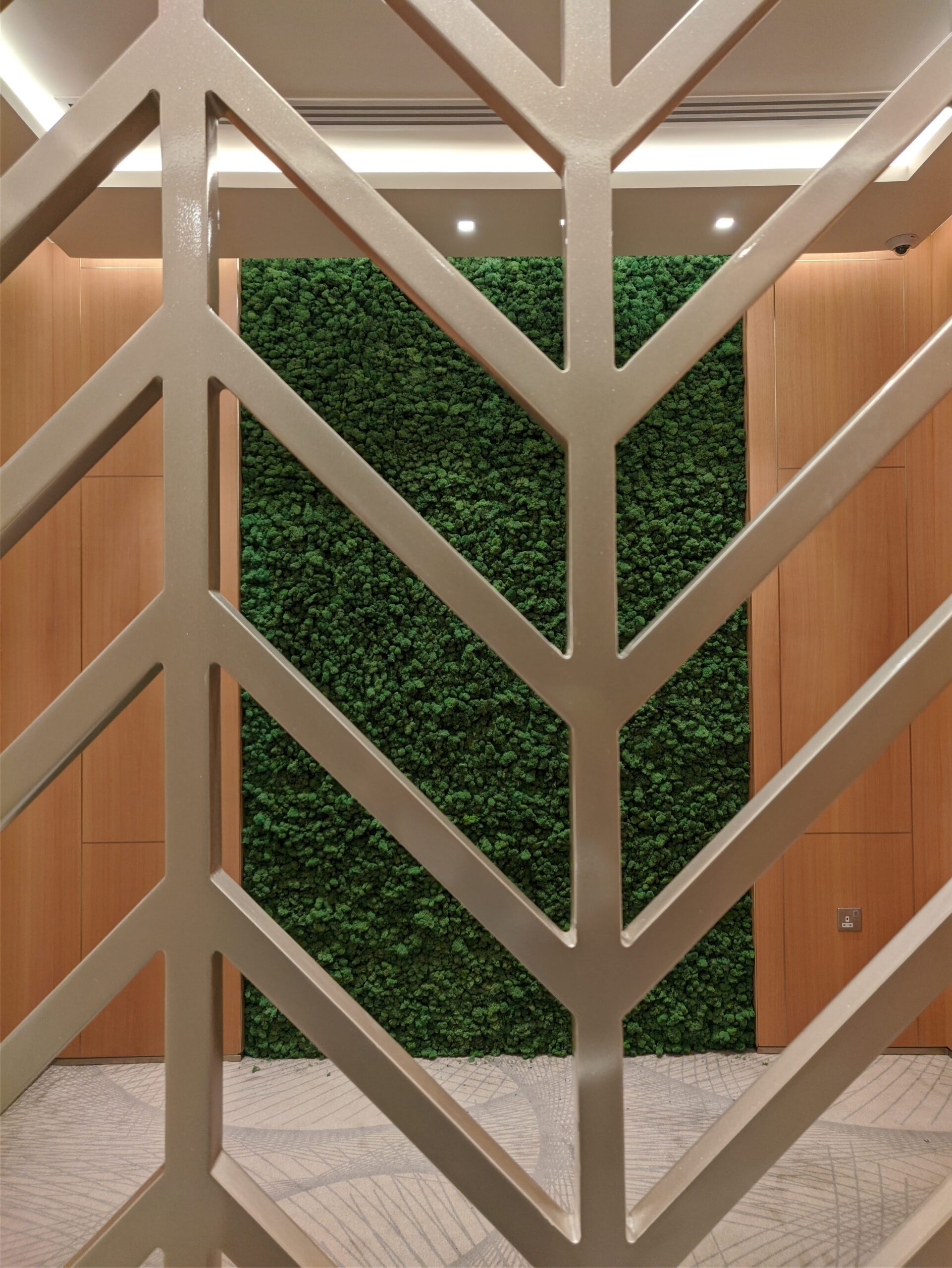 interior-designer-32 preserved moss art