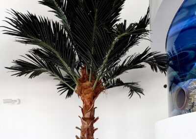 Peaceful Phoenix Palm Tree | The National Aquarium Abu Dhabi