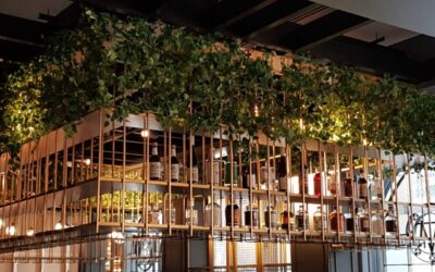 Biophilic Design In Your Restaurant or Cafe