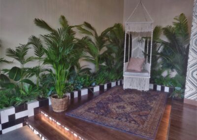 hydroculture plants