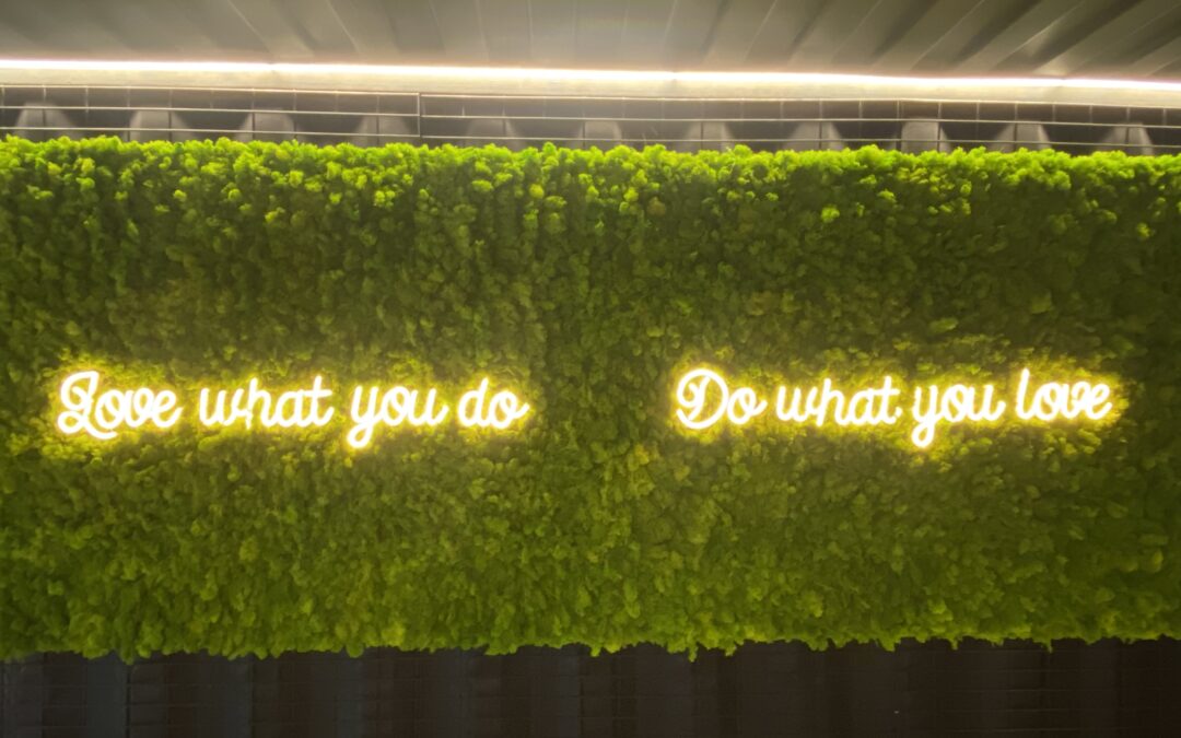 Attractive Fresh moss wall with lighted up logo | DGW Cafe