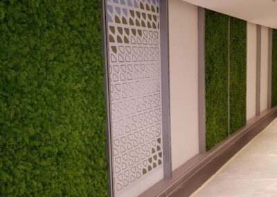 Beaming Green Walls With Preserved Moss | Abu Dhabi International Airport