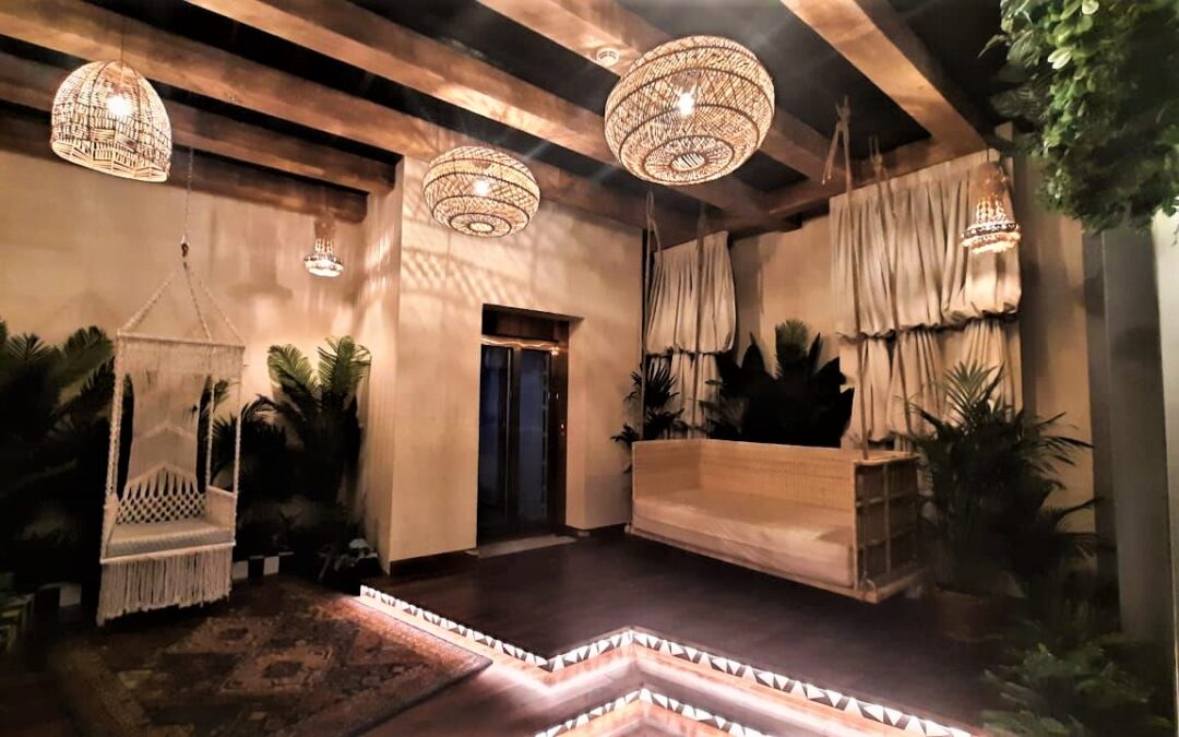 Beautiful Hydroculture Plants | Artificial Plants | Deseo Restaurant