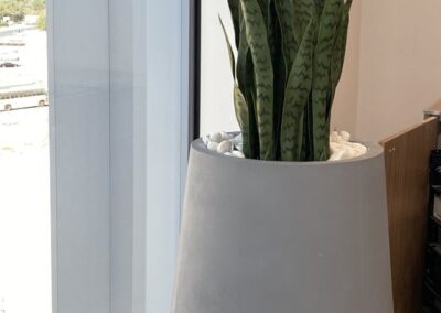 Artificial Plants, Customized GRC Plant Pots