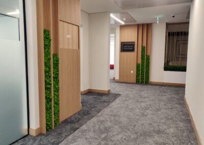 preserved moss wall