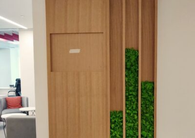 preserved moss wall